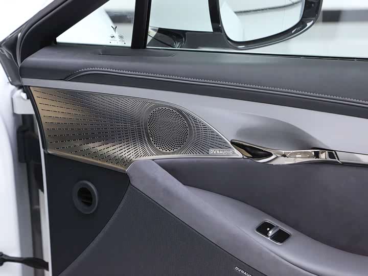 Фото 9 - Voyah Passion