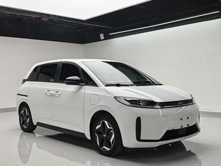Фото 3 - BYD D1