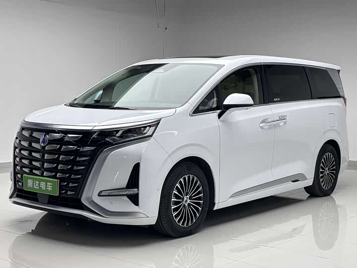 Фото 1 - Denza D9