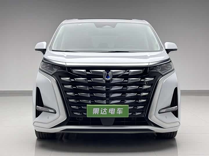 Фото 2 - Denza D9