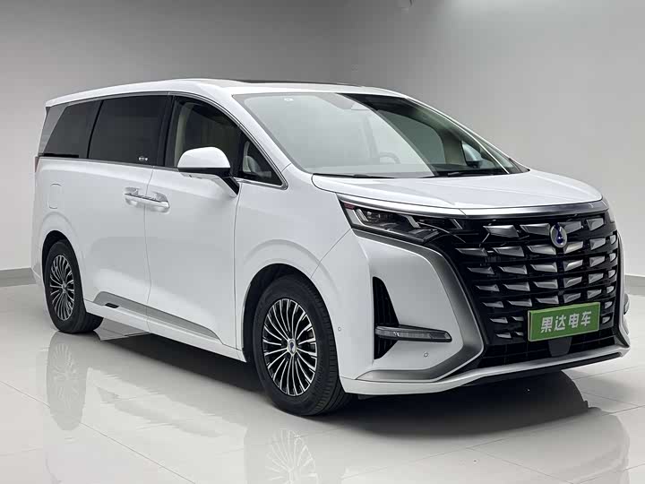 Фото 3 - Denza D9