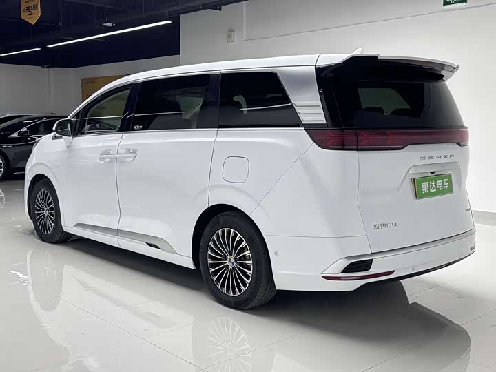 Фото 4 - Denza D9