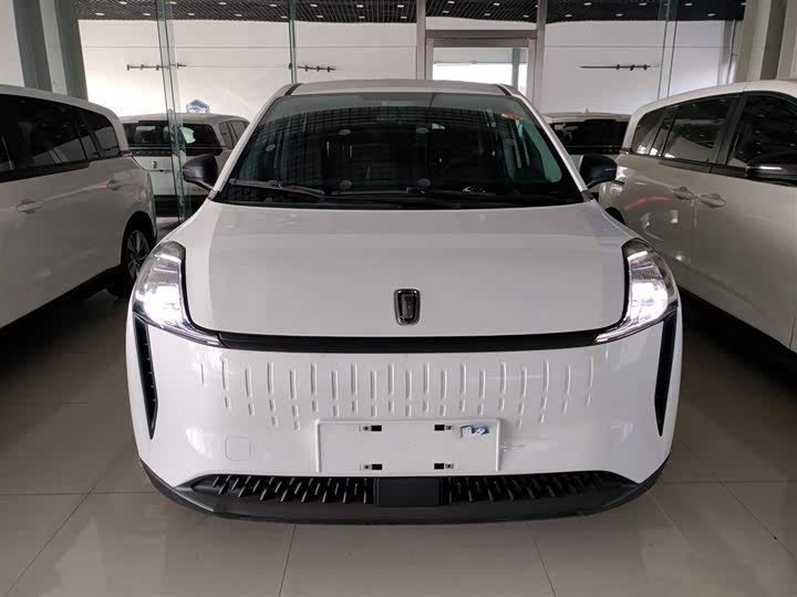 Фото 3 - Bestune NAT