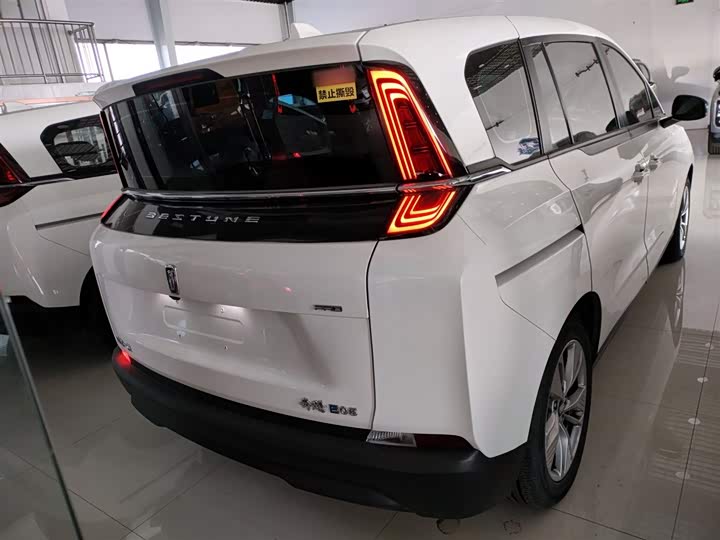 Фото 6 - Bestune NAT