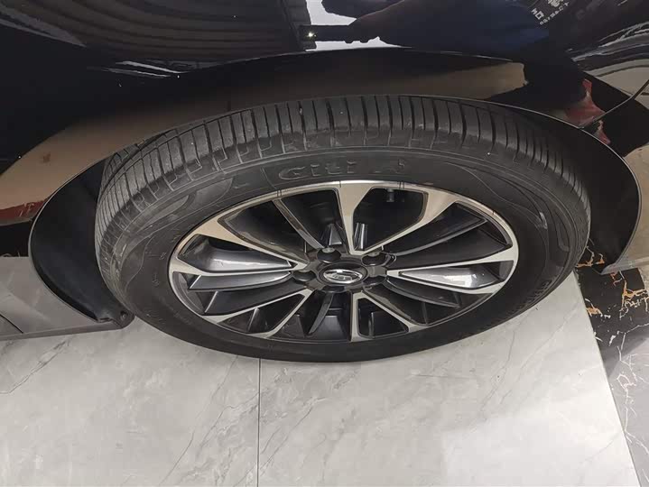 Фото 6 - GAC Trumpchi Empow R