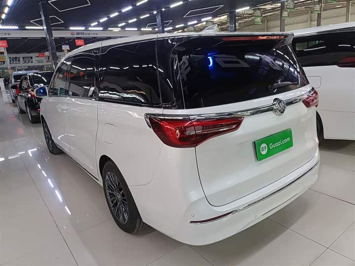 Фото 5 - Buick GL8 ES