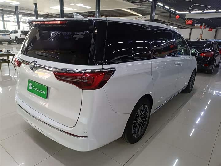 Фото 7 - Buick GL8 ES