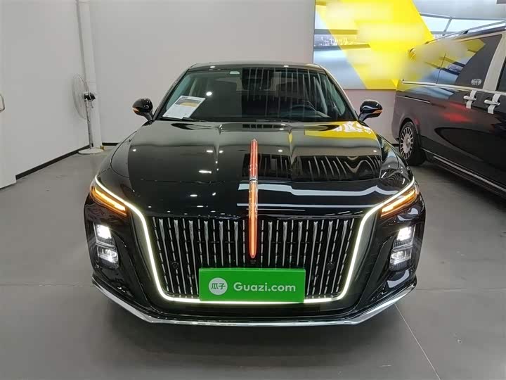 Фото 3 - Hongqi H5