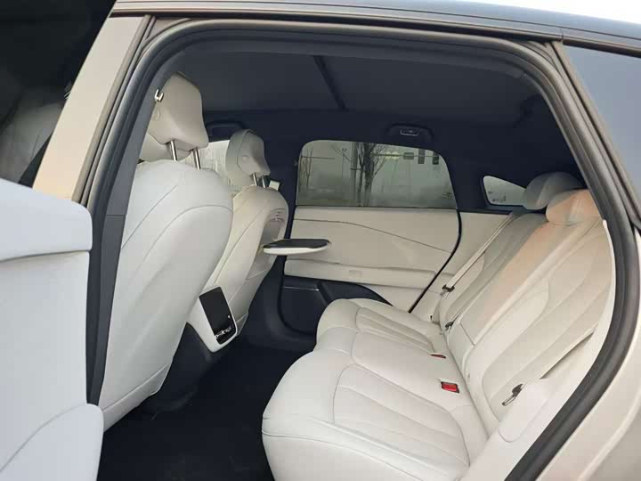 Фото 6 - XPeng F57