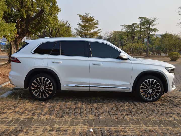 Фото 7 - Geely Monjaro