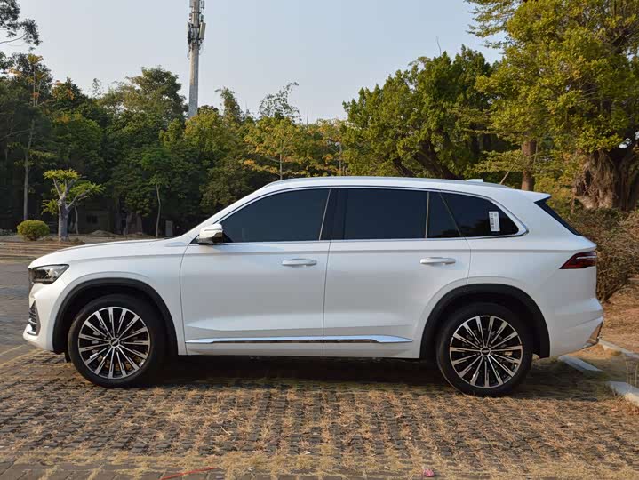 Фото 8 - Geely Monjaro