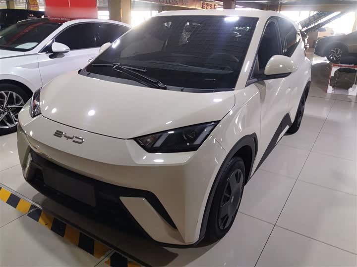 Фото 1 - BYD Seagull