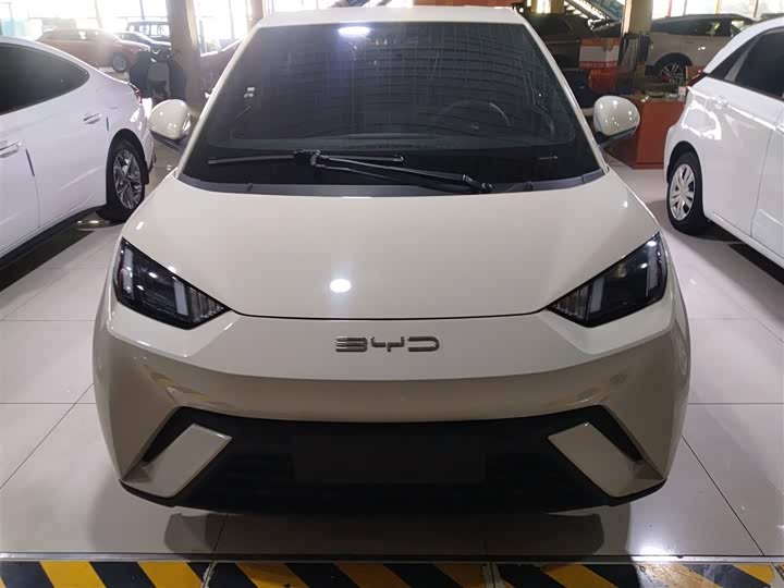 Фото 3 - BYD Seagull