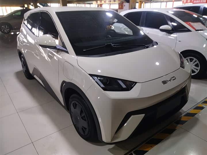 Фото 4 - BYD Seagull