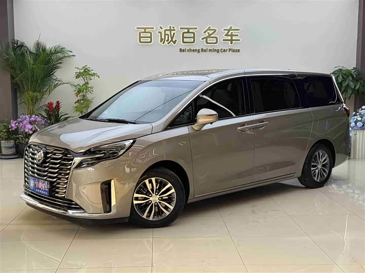 Фото 2 - Buick GL8 ES