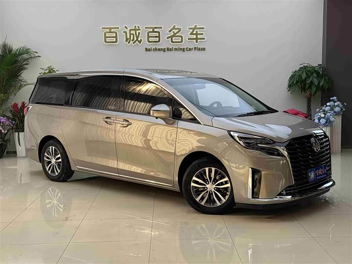 Фото 4 - Buick GL8 ES