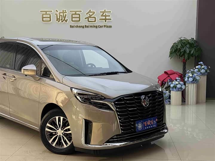 Фото 5 - Buick GL8 ES