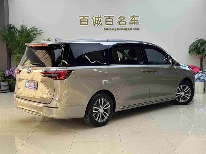 Фото 6 - Buick GL8 ES