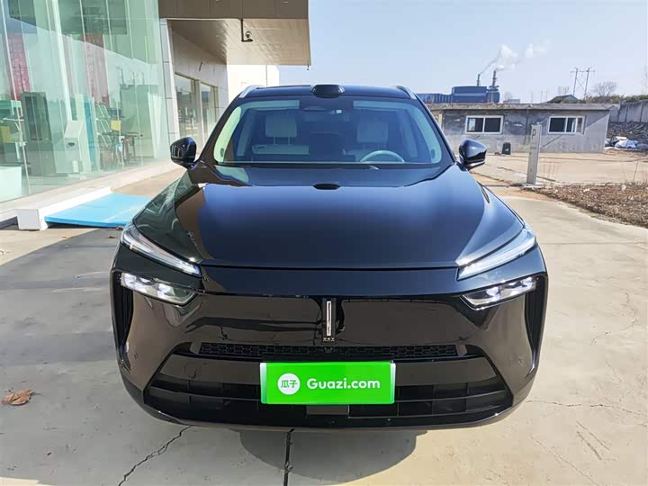 Фото 3 - Wey Lanshan