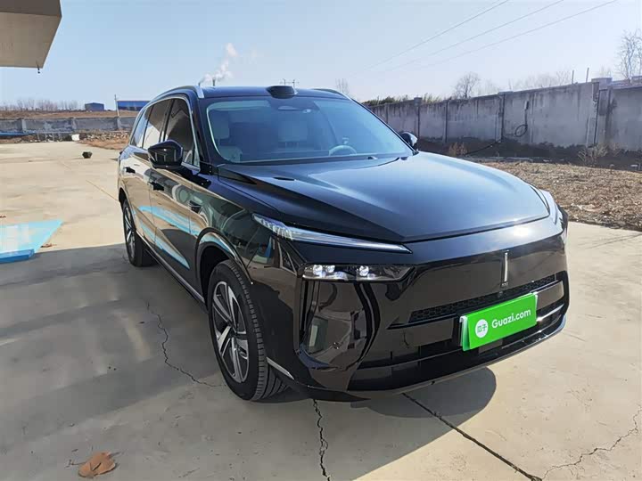 Фото 4 - Wey Lanshan