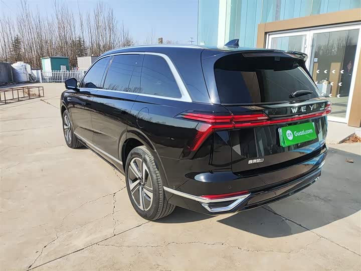 Фото 5 - Wey Lanshan