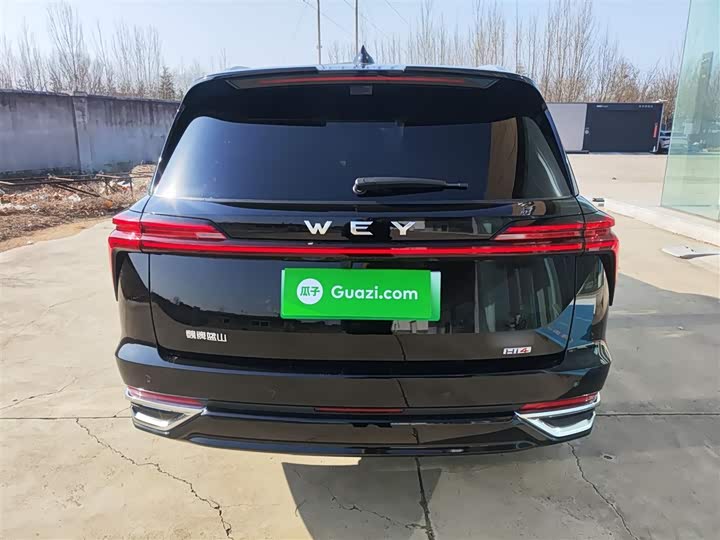 Фото 6 - Wey Lanshan