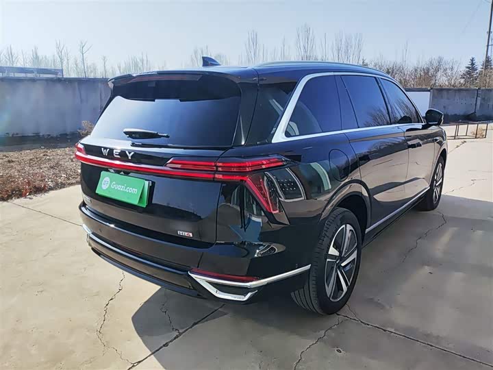 Фото 7 - Wey Lanshan