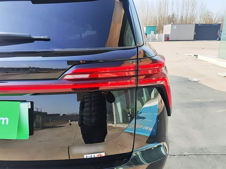 Фото 8 - Wey Lanshan