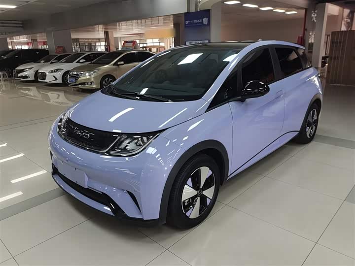 Фото 1 - BYD Dolphin