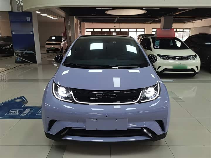 Фото 3 - BYD Dolphin