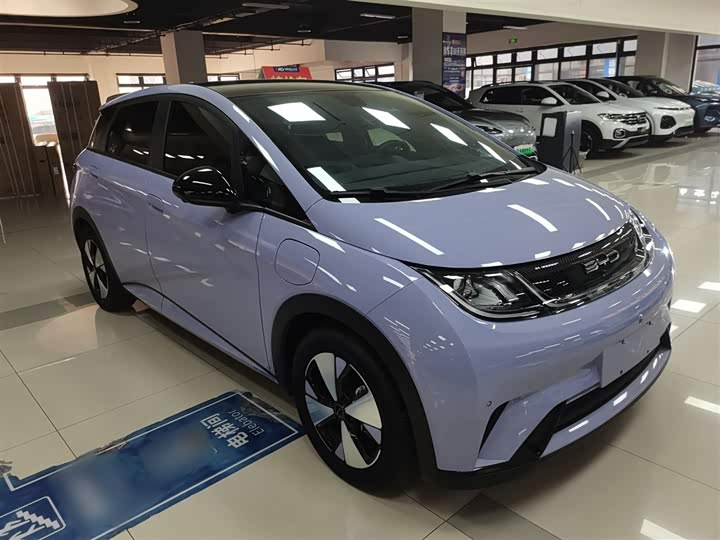 Фото 4 - BYD Dolphin