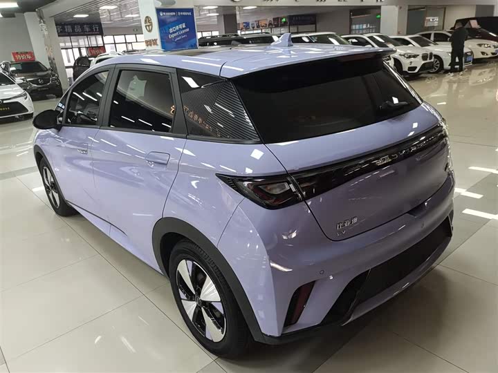 Фото 5 - BYD Dolphin