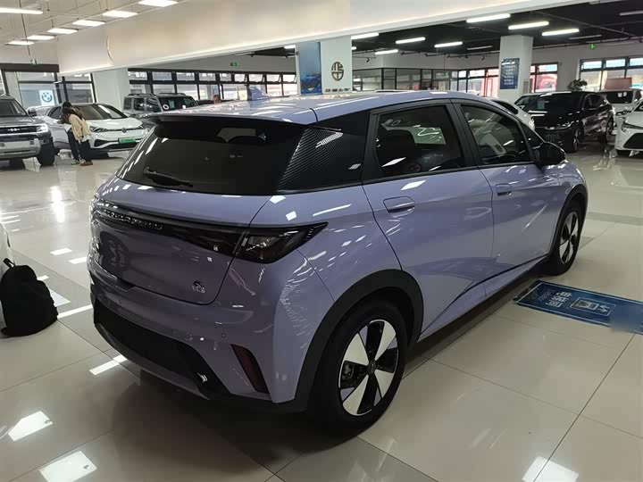 Фото 7 - BYD Dolphin