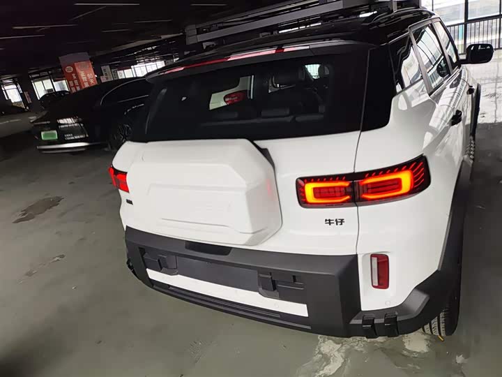 Фото 6 - Geely Cowboy