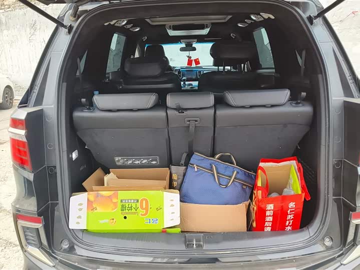 Фото 4 - Honda Elysion