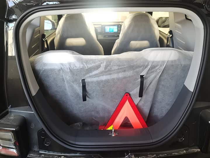 Фото 4 - Geely Galaxy Panda Mini