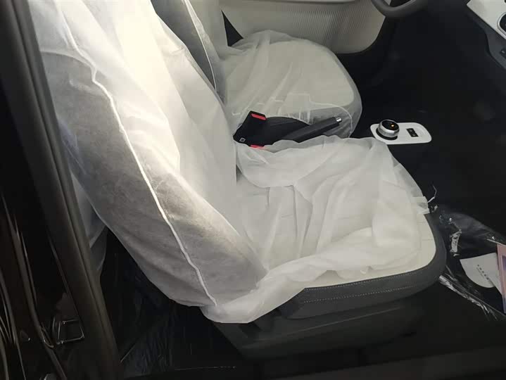 Фото 8 - Geely Galaxy Panda Mini