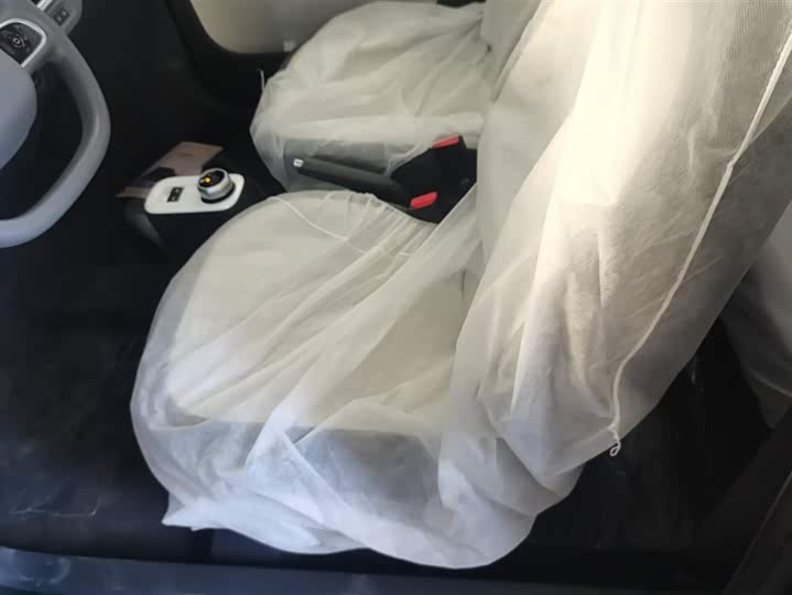 Фото 9 - Geely Galaxy Panda Mini