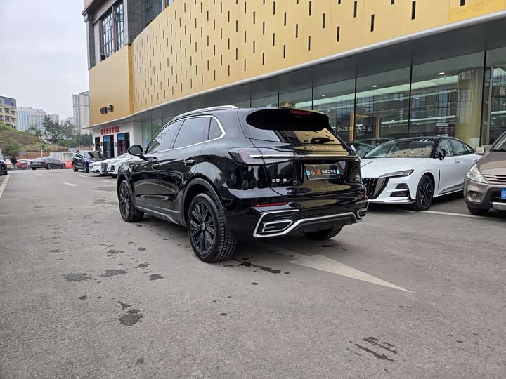 Фото 6 - Hongqi HS5