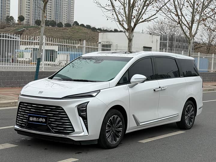 Фото 1 - Buick GL8 ES