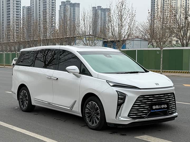 Фото 3 - Buick GL8 ES