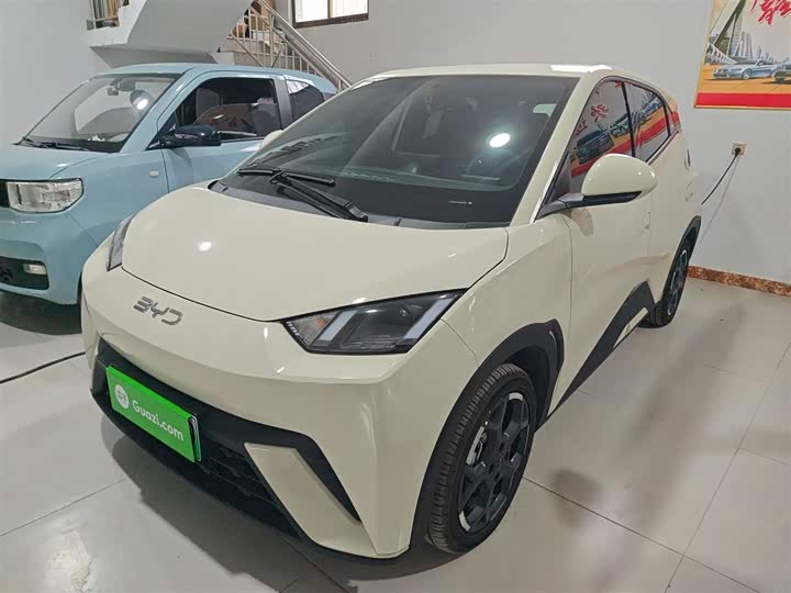 Фото 1 - BYD Seagull