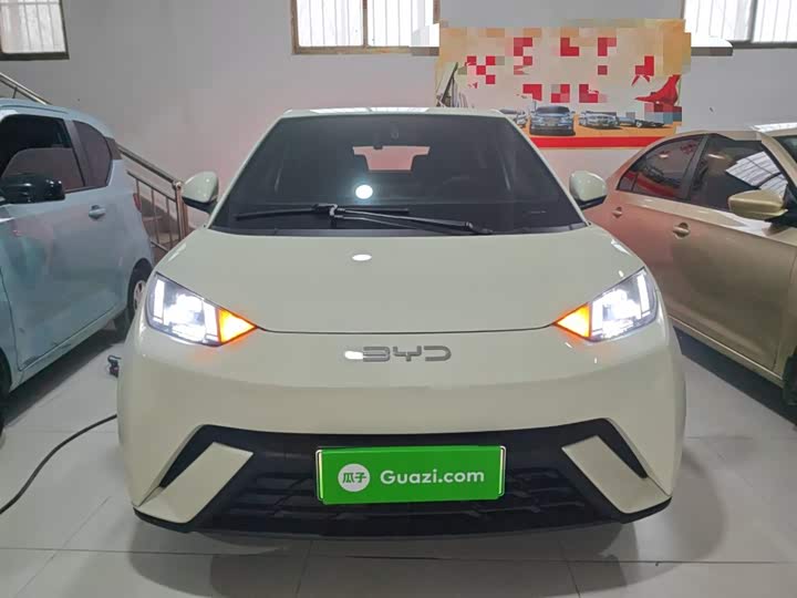 Фото 3 - BYD Seagull