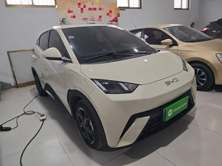 Фото 4 - BYD Seagull