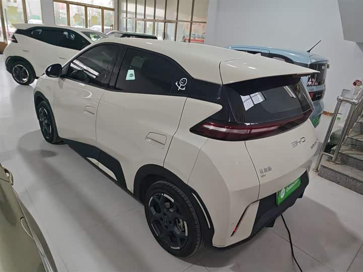 Фото 5 - BYD Seagull