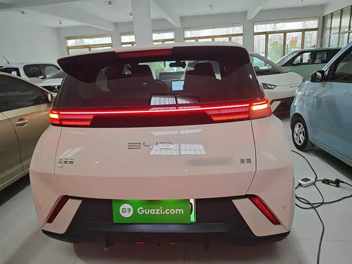 Фото 6 - BYD Seagull