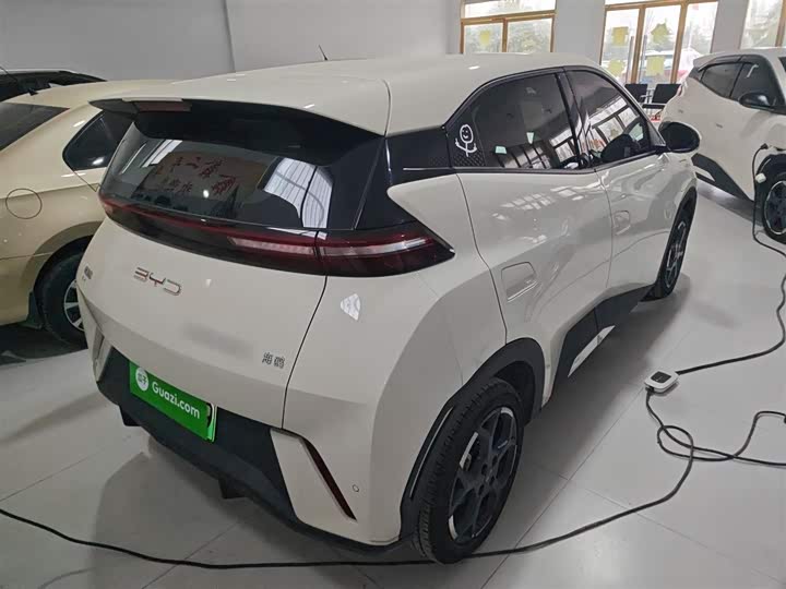 Фото 7 - BYD Seagull