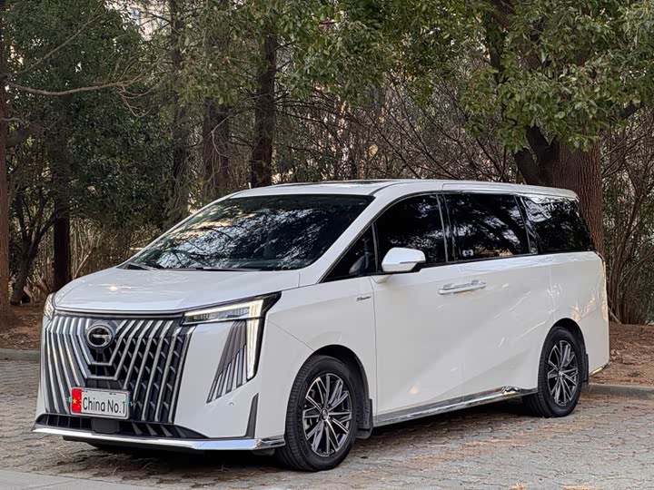 Фото 1 - GAC Trumpchi M8