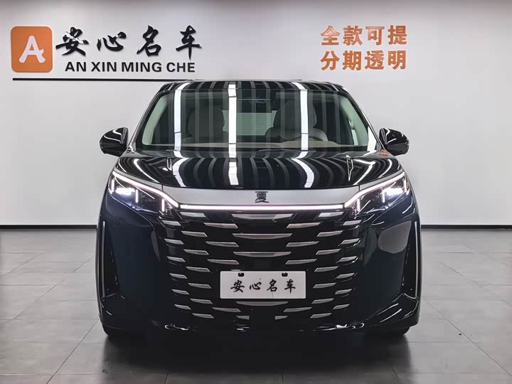 Фото 2 - BYD Xia