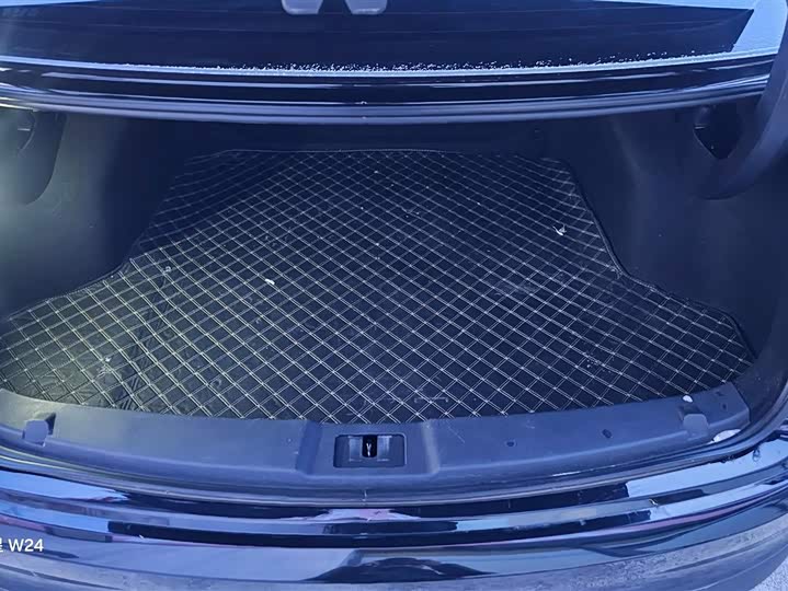 Фото 4 - Hongqi E-QM5